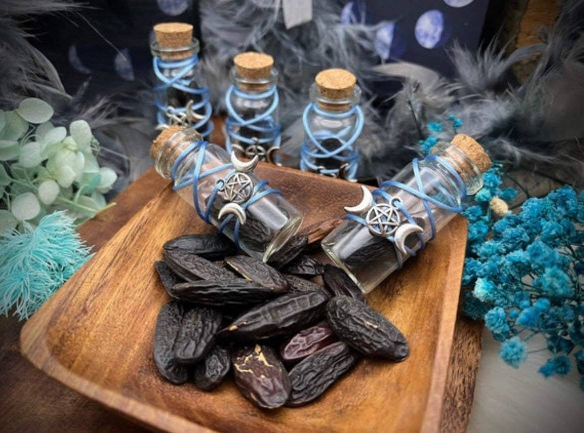 Wunschbohnen Ritual - Tonkabohnen zur Manifestation und Wunscherfüllung mit Anleitung Chenoas Zaubergarten