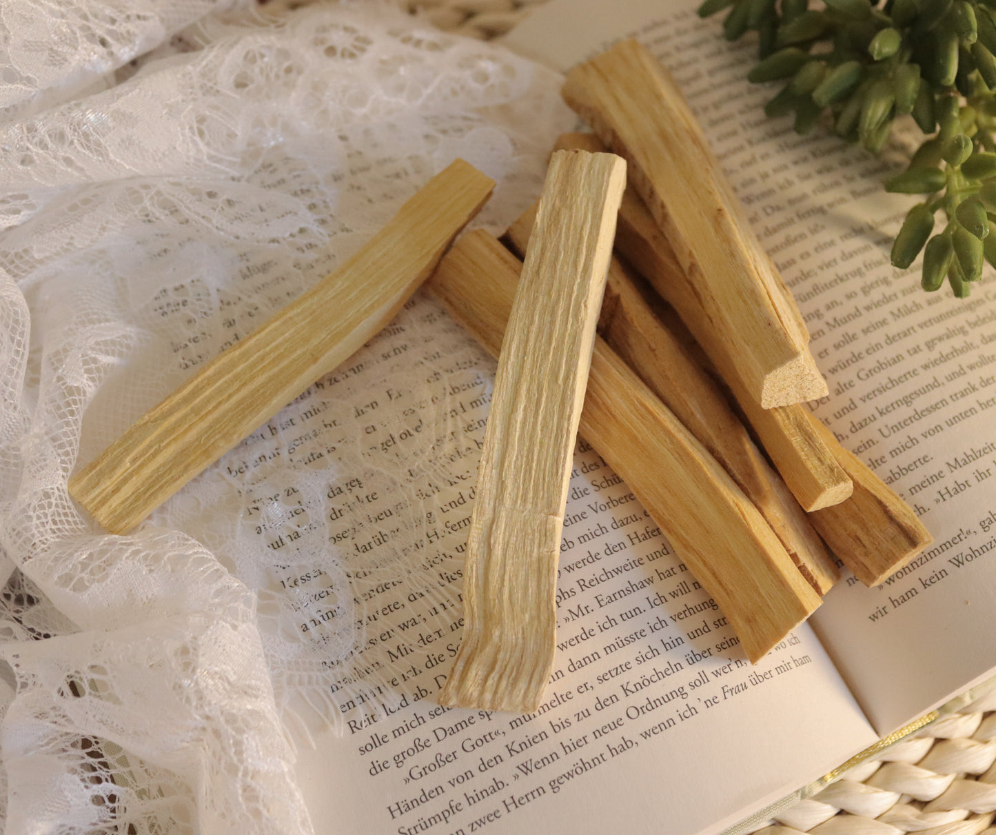 Palo Santo Räucherholz / Heiliges Holz - Chenoas Zaubergarten