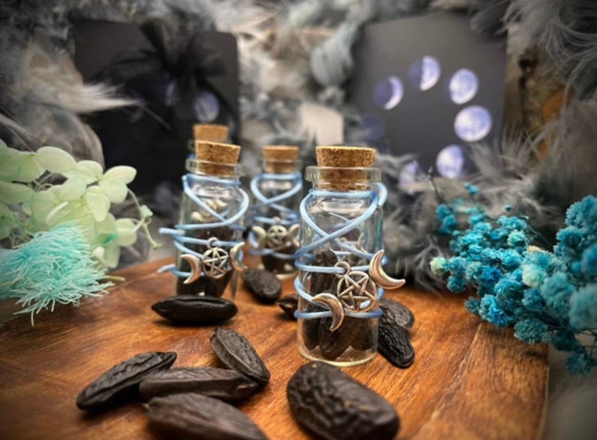 Wunschbohnen Ritual - Tonkabohnen zur Manifestation und Wunscherfüllung mit Anleitung Chenoas Zaubergarten
