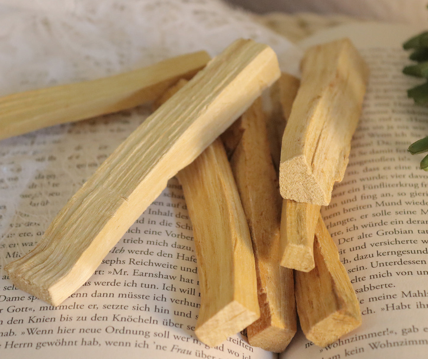 Palo Santo Räucherholz / Heiliges Holz - Chenoas Zaubergarten