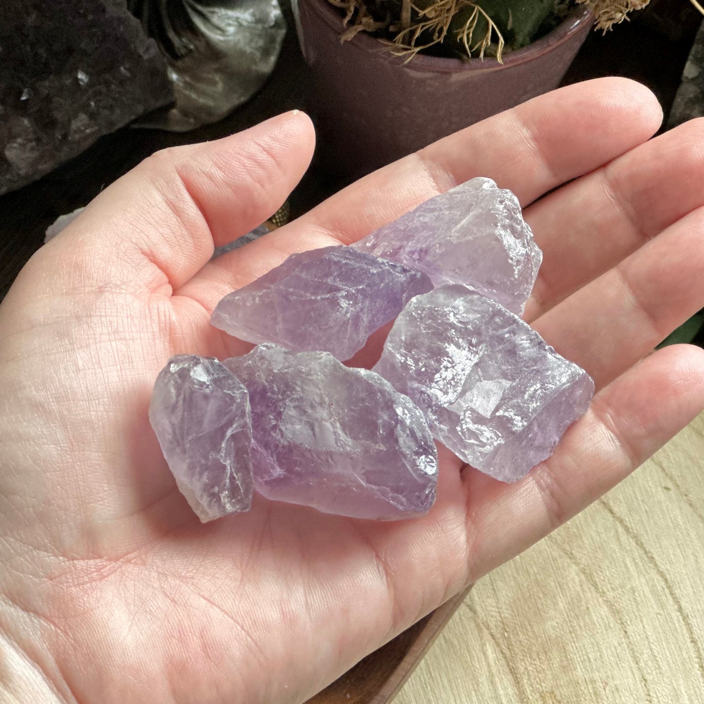 Amethyst Rohsteine- 2-3 cm